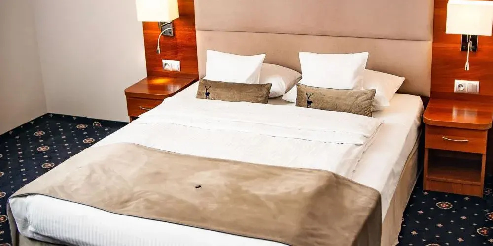 Deluxe Double room (full double bed)