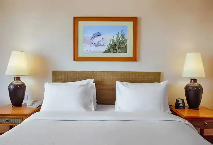 Hilton Alexandria Green Plaza - Chambres