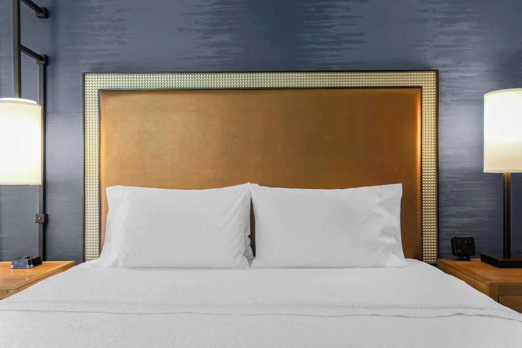 Hampton Inn & Suites Austin Downtown - Chambres