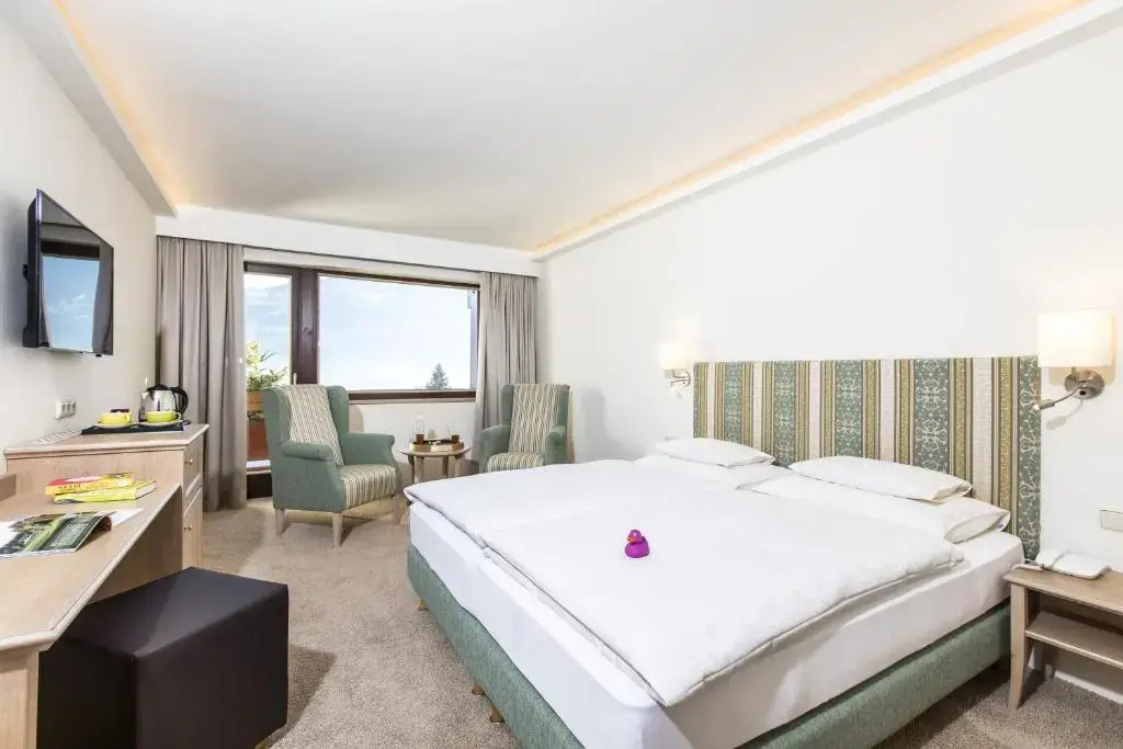 Alpin - Das Sporthotel - Général