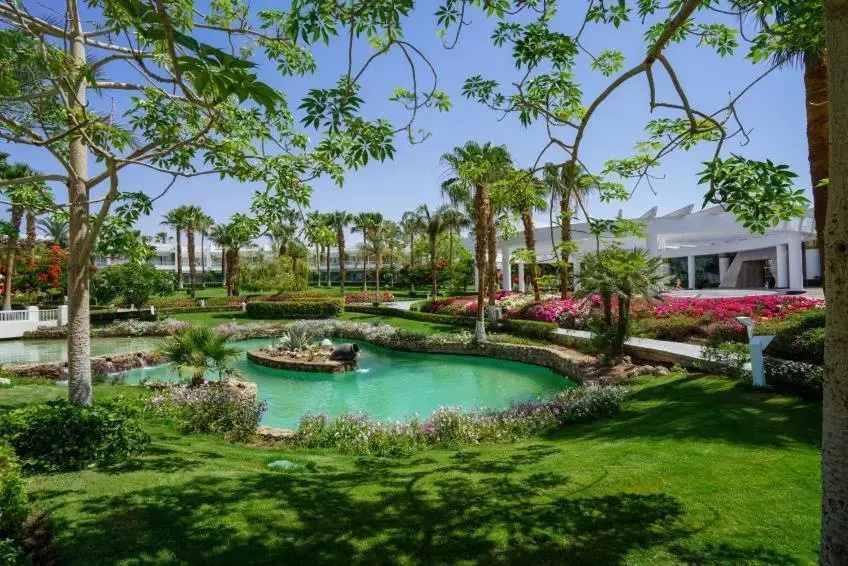 Monte Carlo Sharm Resort & Spa Hotel - Chambres