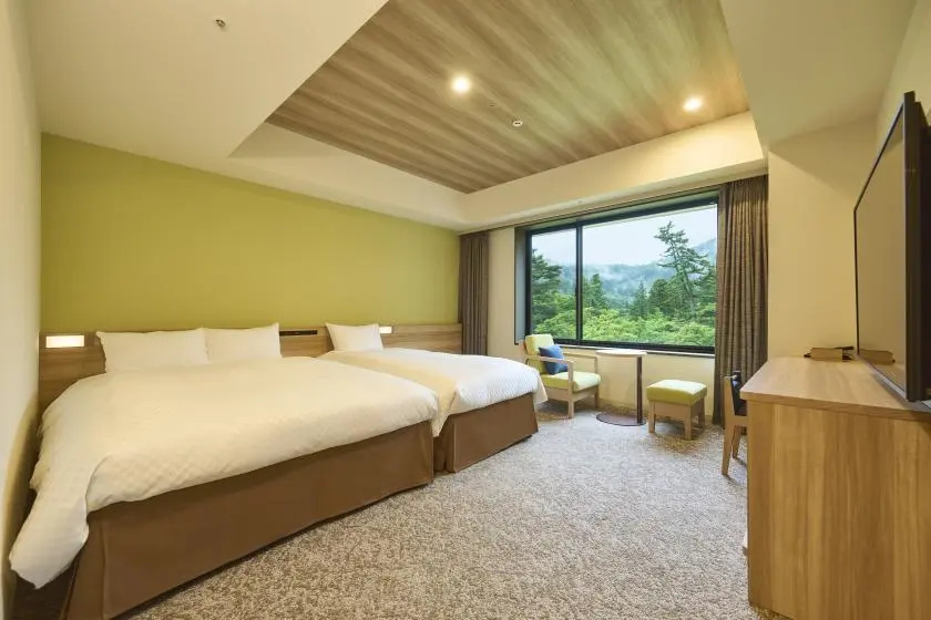 Standard Type B Double room (full double bed)