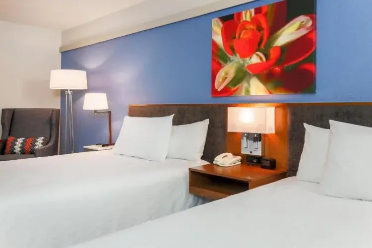 Hilton Garden Inn Dallas/Market Center - Chambres