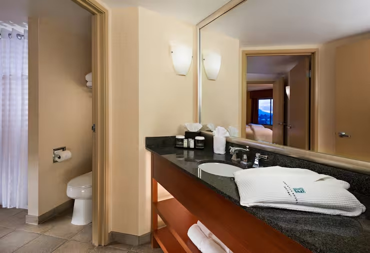 Embassy Suites by Hilton Phoenix Scottsdale - Chambres