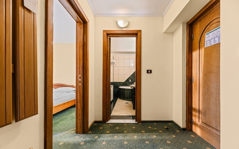 Hotel Casa Viorel - Chambres