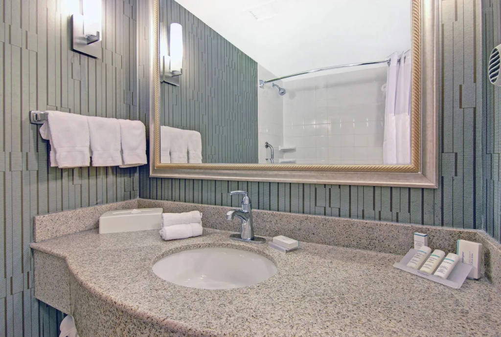 Hilton Garden Inn Toronto/Markham - Chambres