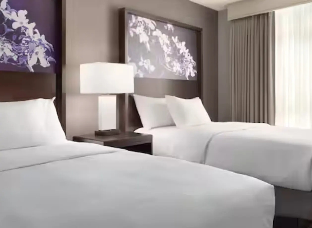 Embassy Suites by Hilton Atlanta at Centennial Olympic Park - Chambres