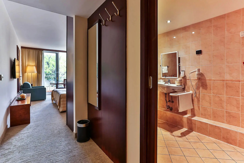 Standard Accessible Double room (full double bed)