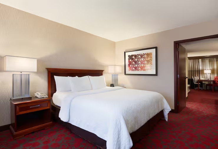 Embassy Suites by Hilton Dulles Airport - Chambres