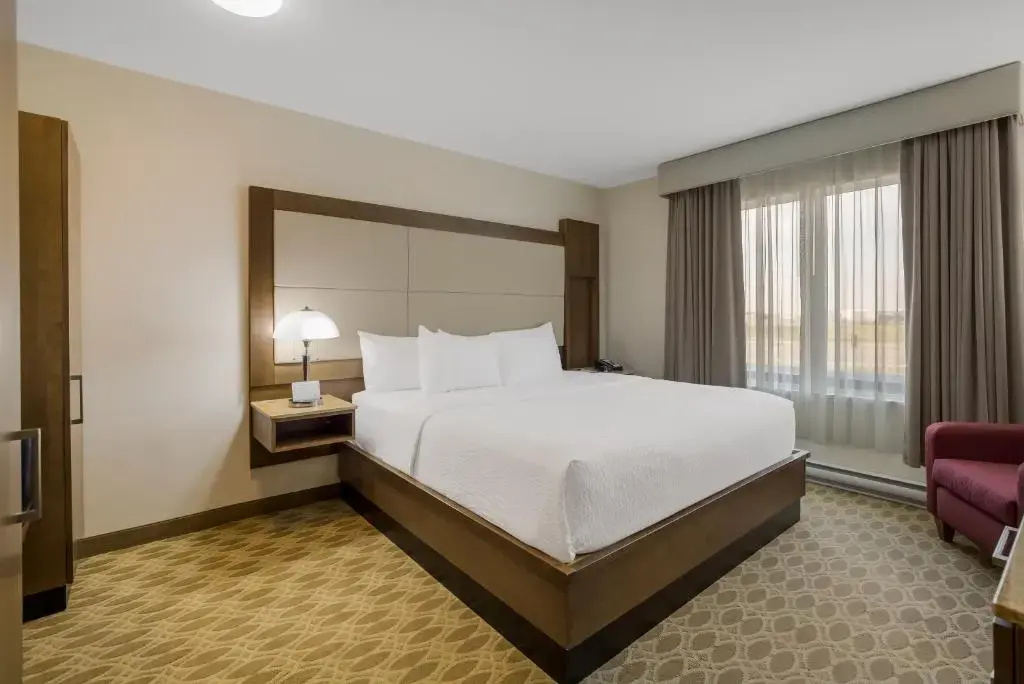 Hotel 11, MOD A Sonesta Collection - Chambres