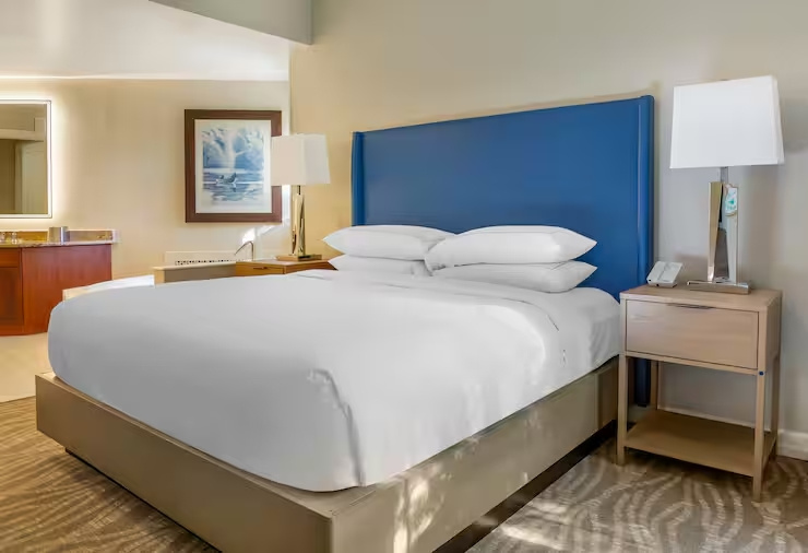 Hilton Grand Vacations Club SeaWorld® Orlando - Chambres