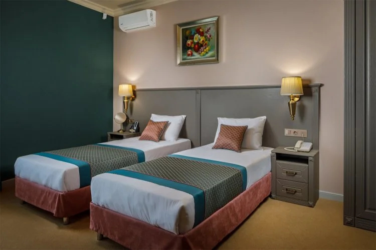 Standard Double room (twin beds)
