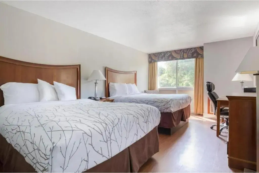 Quadruple room