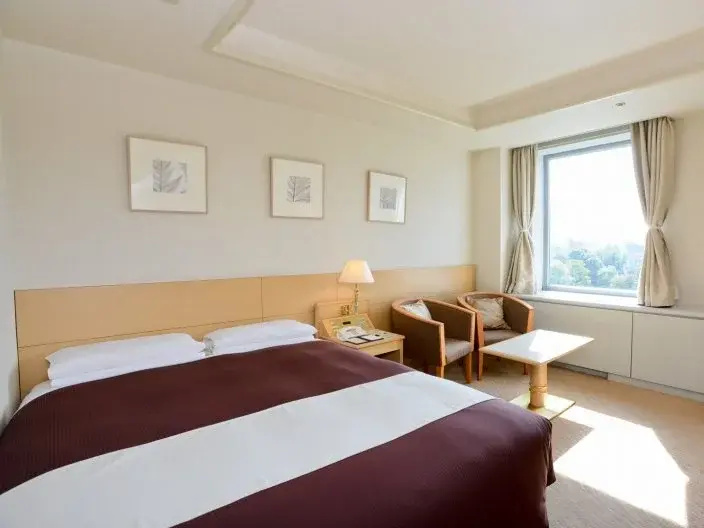 Superior (Superior floor) Double room (full double bed)