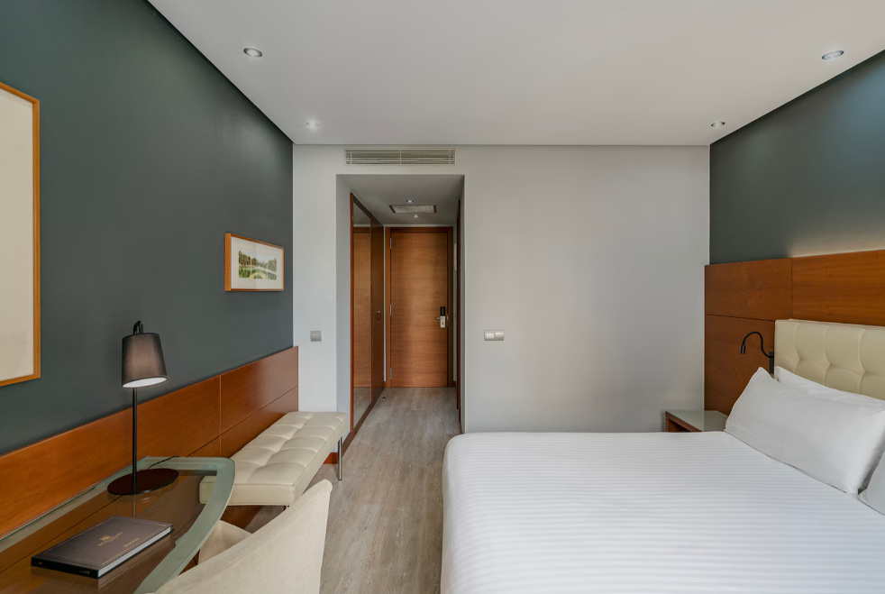 Deluxe Double room with city view (full double bed)