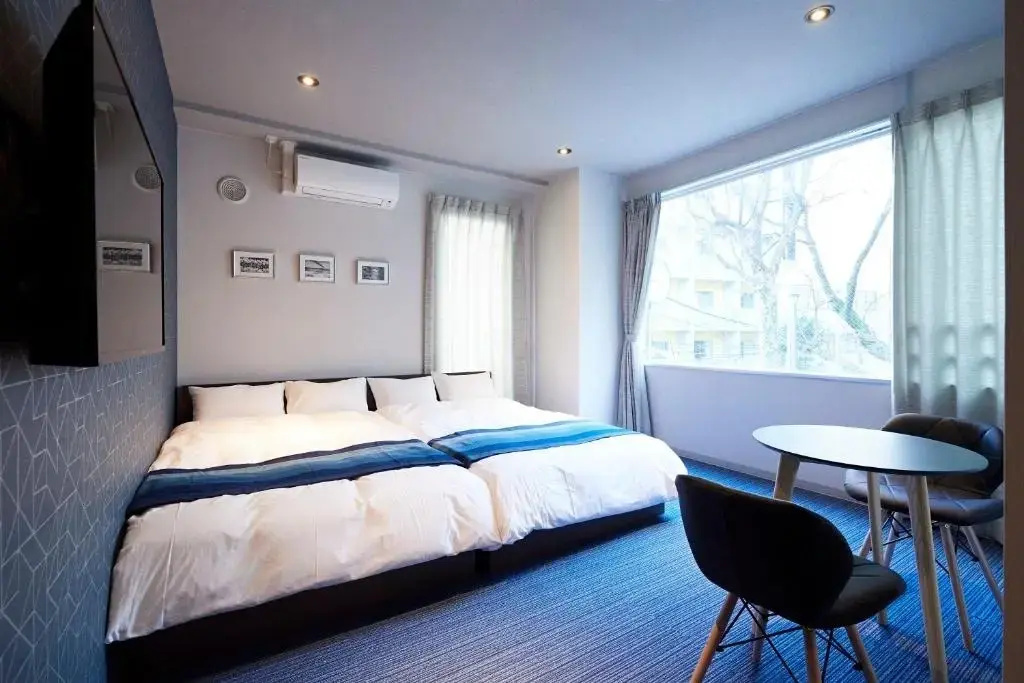 Large Double room (twin beds)