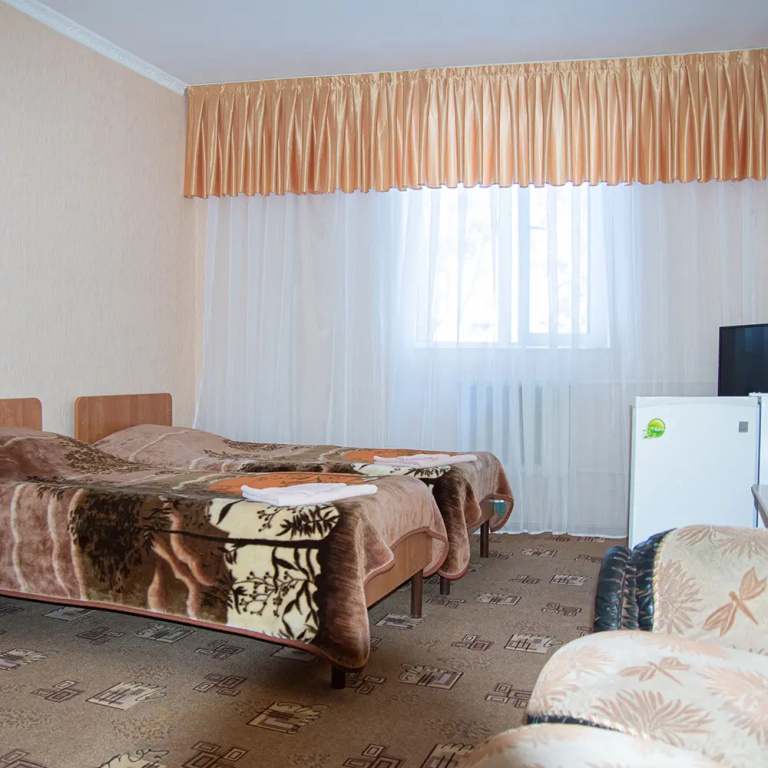 Superior Double room (twin beds)