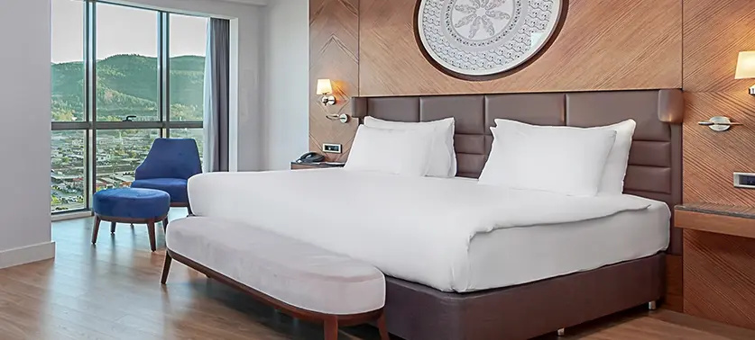 Deluxe Double Suite (full double bed)
