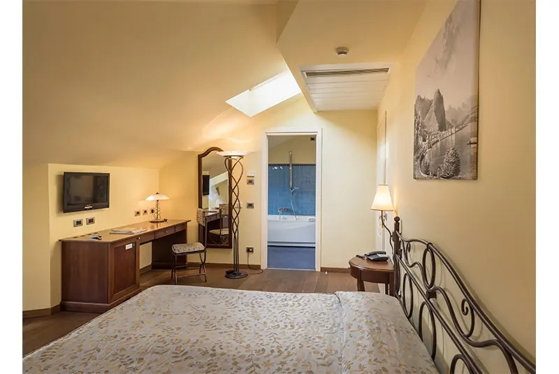Standard Double Attic room (twin beds)