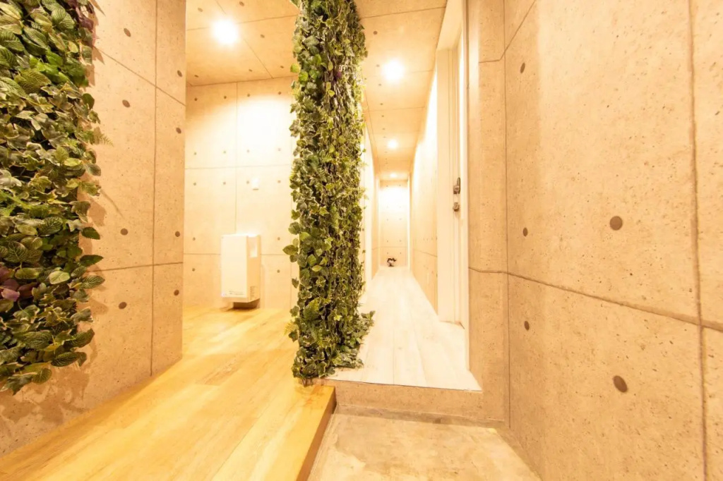 Guest House Gorilla 사진 23