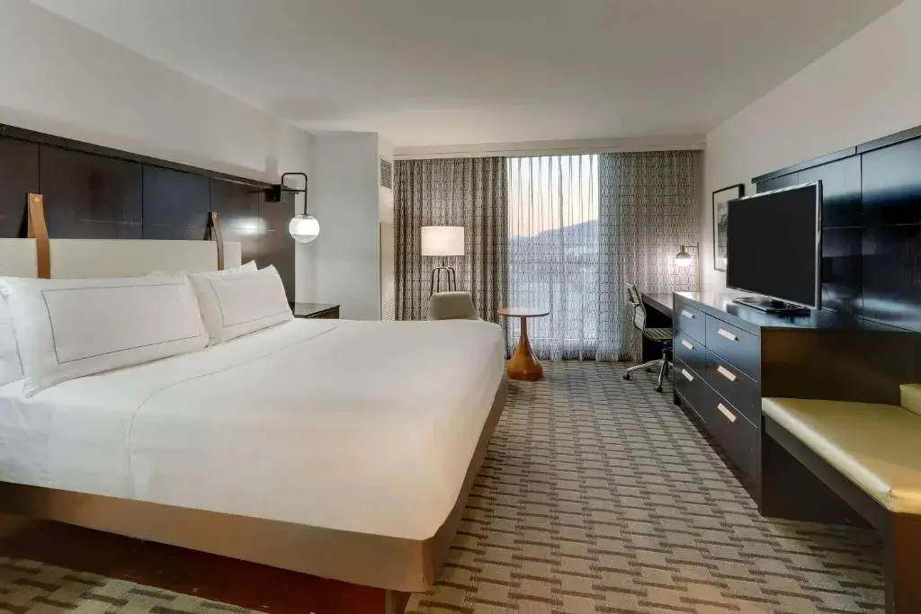 Double Suite with mountain view (full double bed)