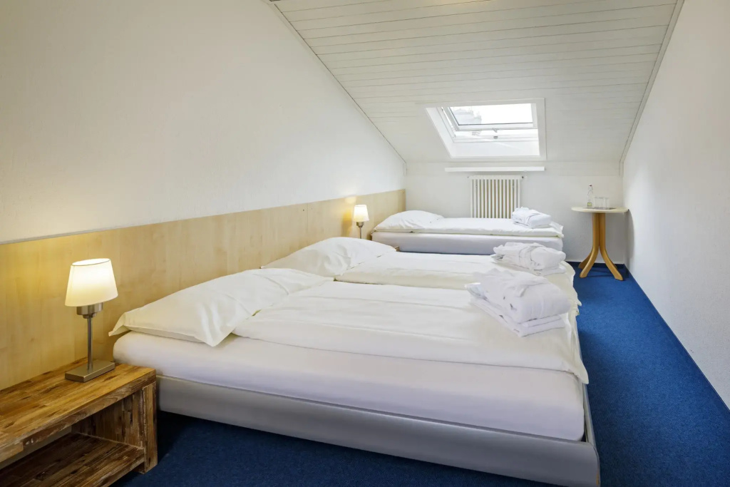 Budget Triple room