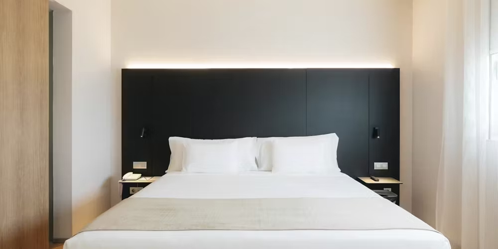 Deluxe Double room with City of Arts and Sciences view (full double bed)