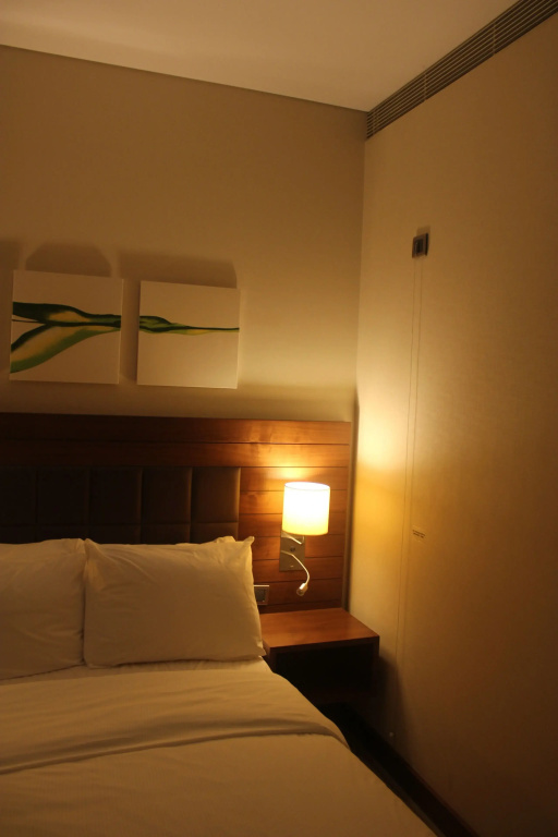 Hilton Garden Inn Kutahya - Chambres