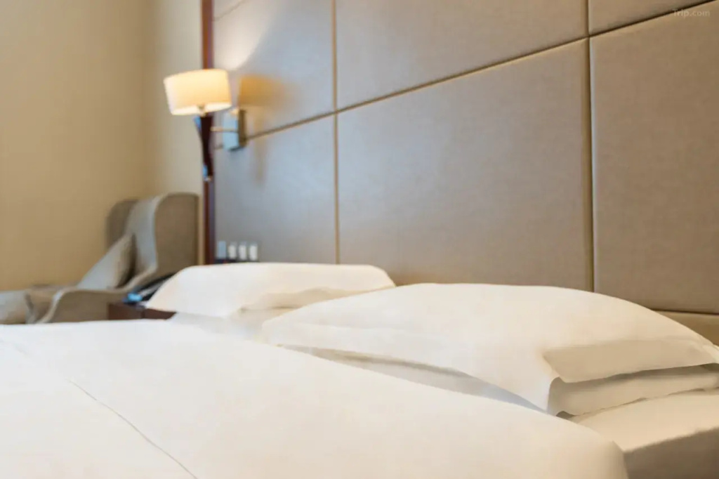 Xinjiang Plaza VIP Building - Chambres