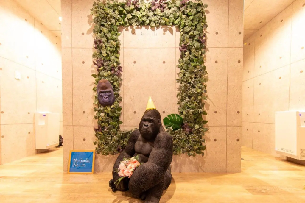 Guest House Gorilla 사진 32