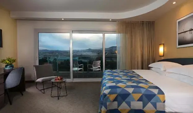 Executive Double room (full double bed)