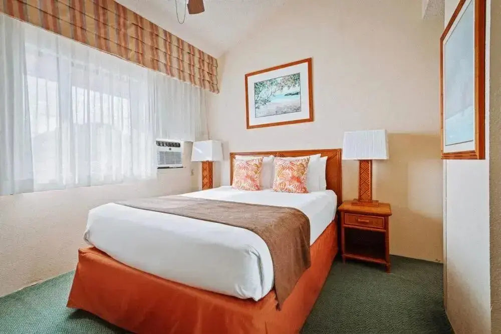 1 Bedroom Condo