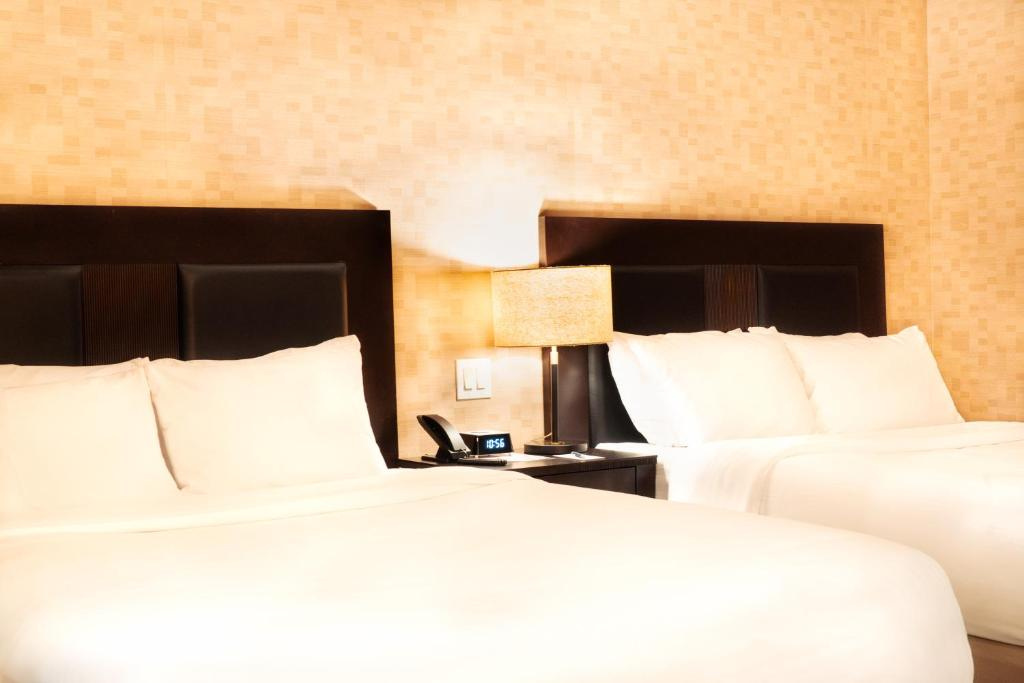 Hotel Stanford - Chambres