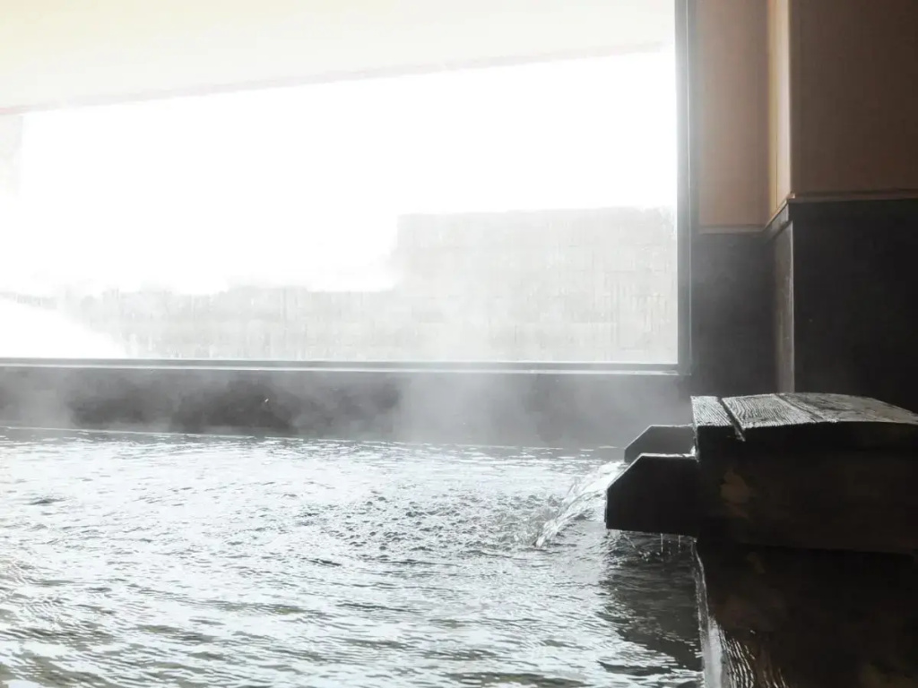 Niseko Park Hotel - Général