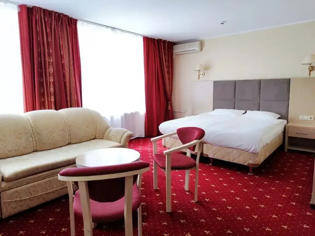 Amaks Voronezh Park Hotel Room Type - Double Studio full double bed