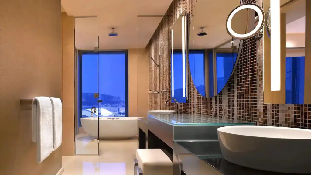 Deluxe Double room (twin beds)