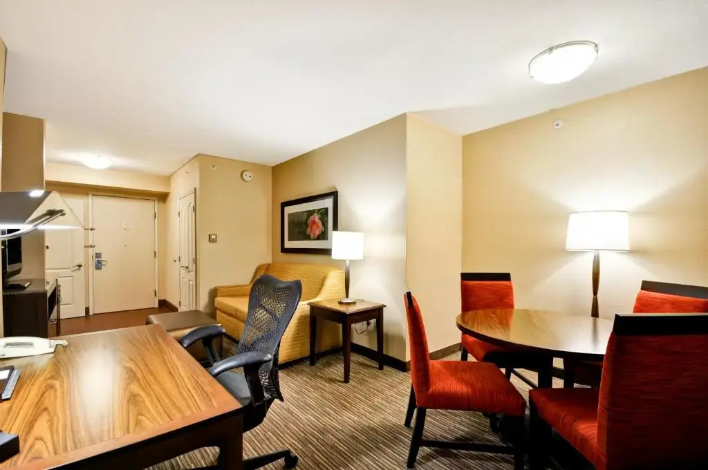 Hilton Garden Inn Tampa North Busch Gardens - Chambres