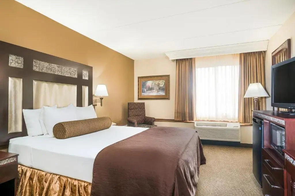Mobility Access Double room (full double bed)