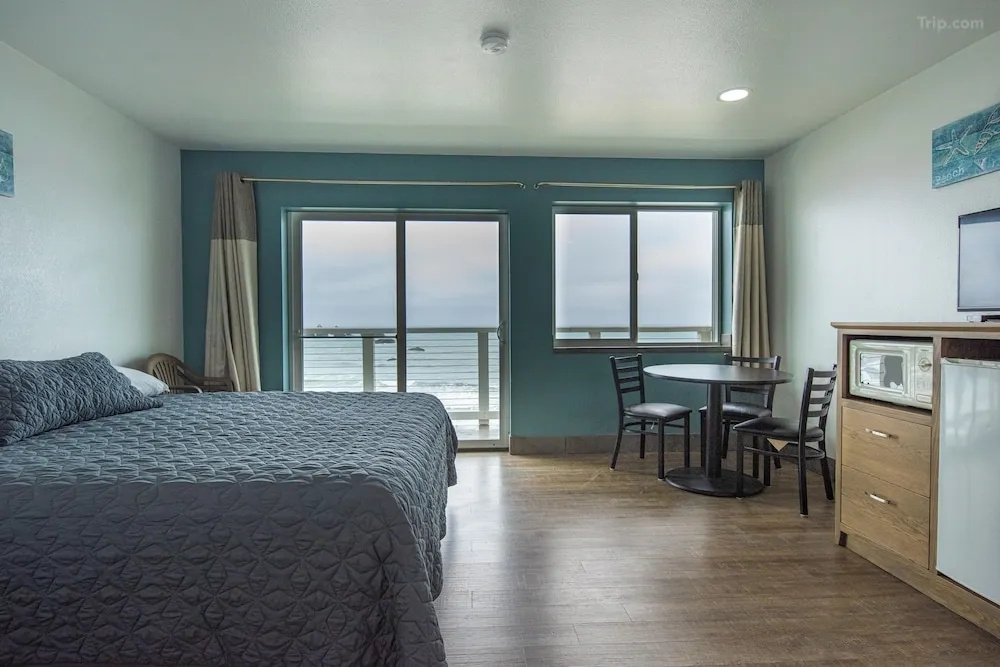 Standard Double room oceanfront (full double bed)