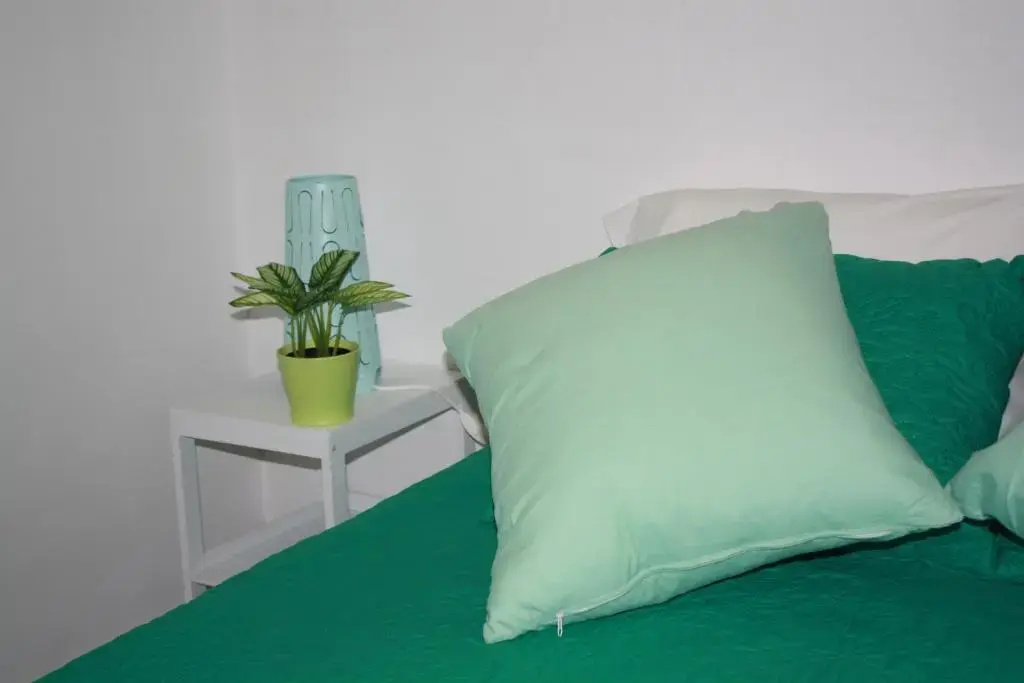 Economy No window Double room (full double bed)