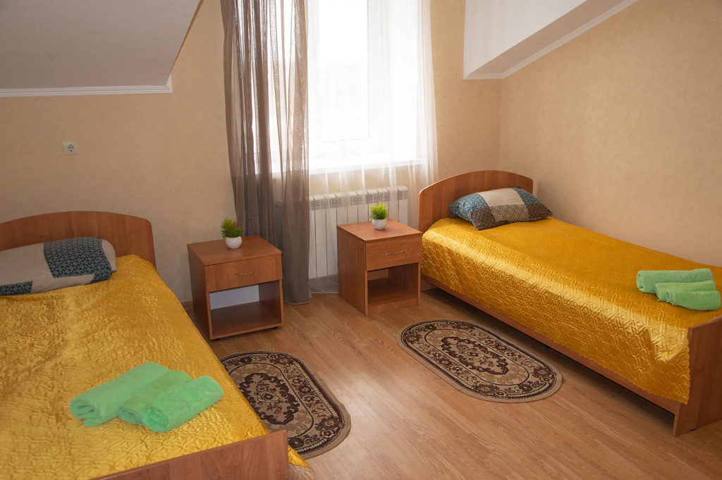 Comfort Double room (twin beds)
