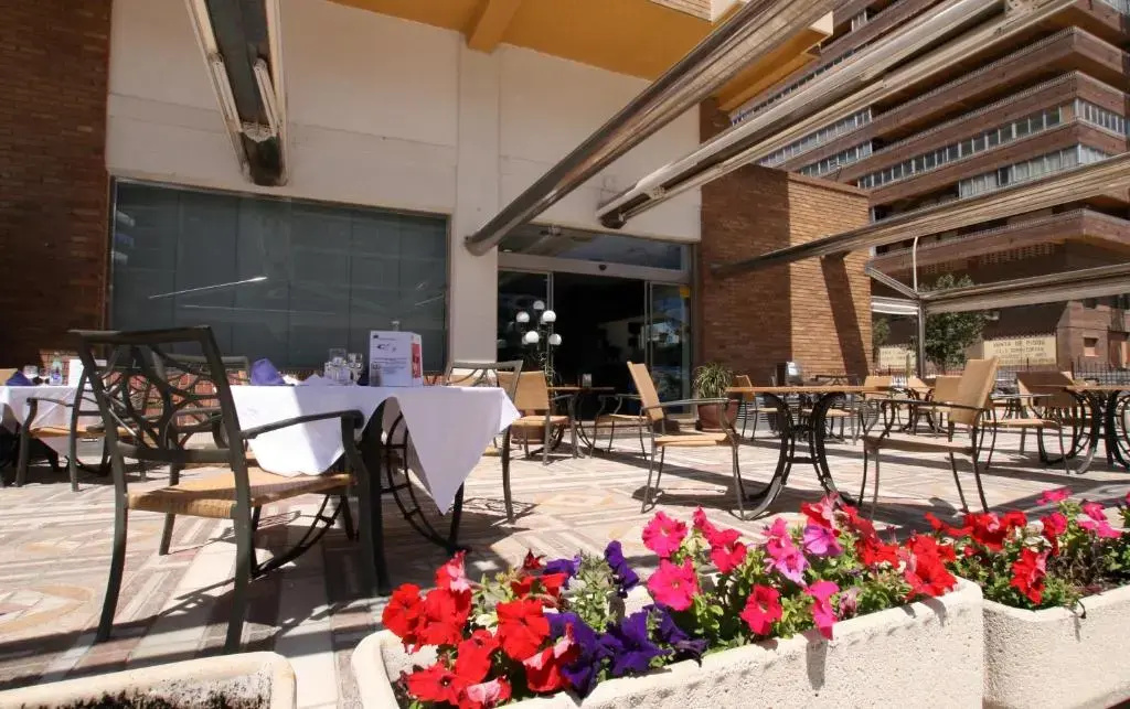 Castilla Alicante Hotel  - Général