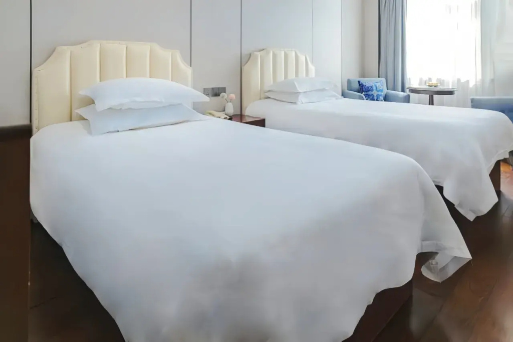Business Standard Double room (twin beds)