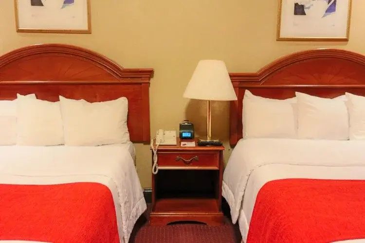 Hotel Newton - Chambres