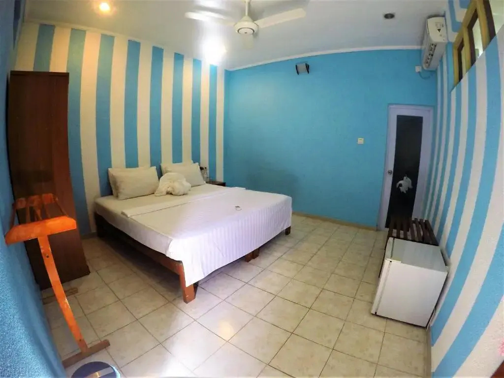 Deluxe Double room (full double bed)