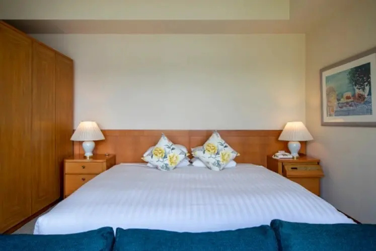 Hakone Hotel Room Type - Lake View Double room (full double bed)