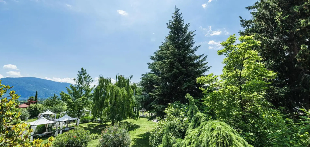 Hotel Weingarten - Chambres