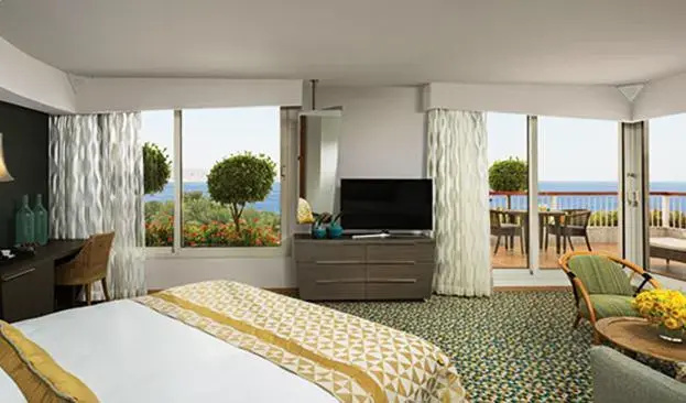 Terrace Double room full double bed