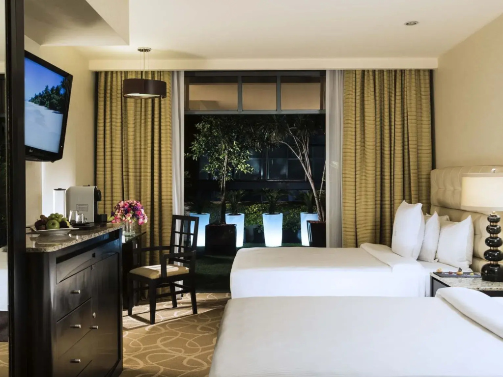 Deluxe Double room (twin beds)