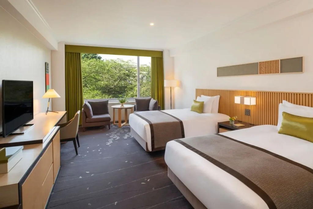 Deluxe Double room (twin beds)